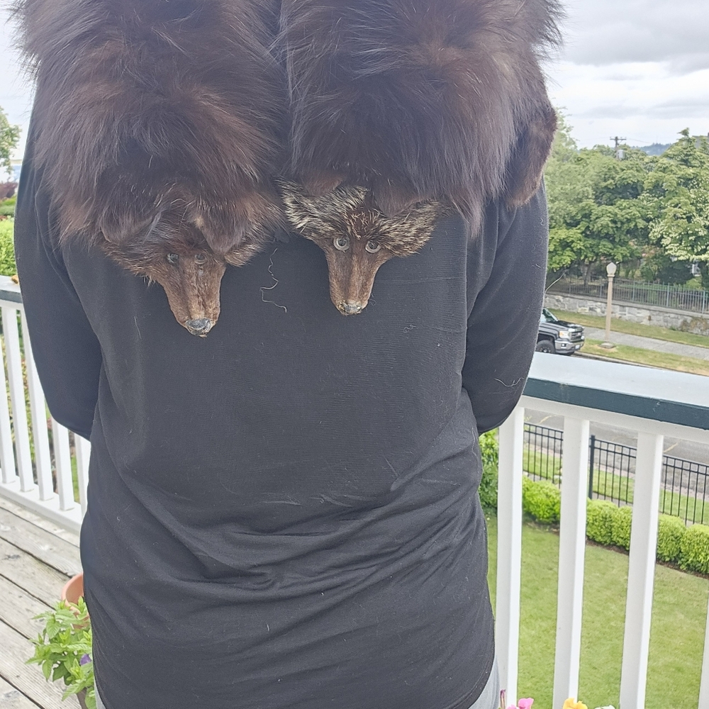 Vintage Fox Fur Stole - Picture 4 of 15